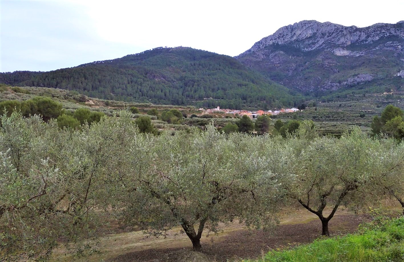 Els pobles de l’ombria del Benicadell, a la Vall d’Albaida